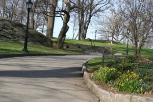 Central park new york